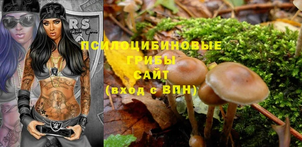 прущий лед Арсеньев
