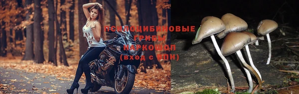 наркотики Балахна