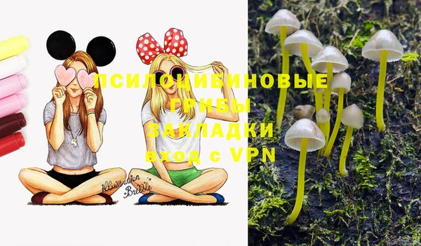 кокс Аркадак